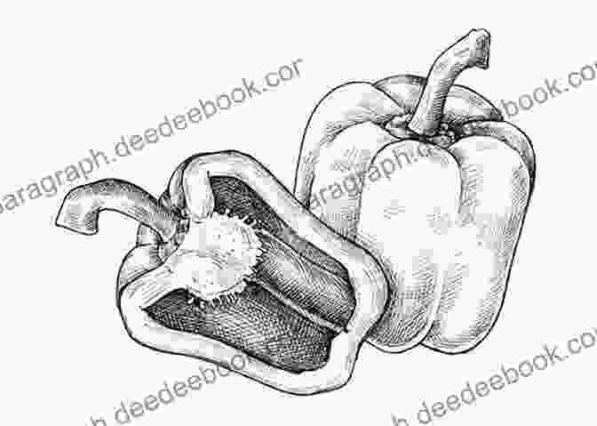 A Detailed Pencil Drawing Of A Capsicum Pepper, Showcasing Its Glossy Skin, Vibrant Colors, And Intricate Folds And Creases. Original Drawings Including Ginger Yew Hawthorn Capsicum (Sketchbook Art)