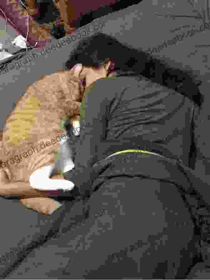 A Heartwarming Image Of A Human And A Cat Cuddling, Symbolizing The Deep And Meaningful Connection That Exists Between These Two Species. Heroic Helpful And Caring Cats: Felines Who Make A Difference