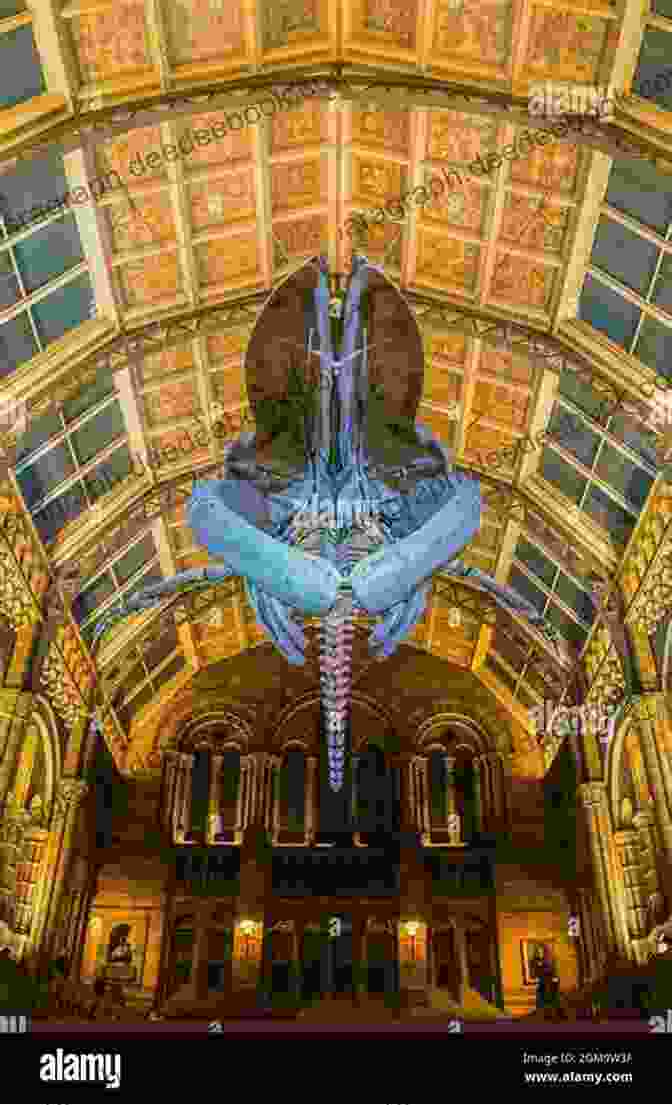 A Massive Whale Skeleton Suspended From The Ceiling Of The Grande Halle De La Villette In Paris A Whale In Paris Claire Polders