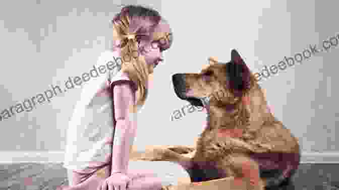 A Woman Communicating With Her Dog Through Eye Contact And Body Language A Dog S Best Friend: The Secrets That Make Good Dog Owners Great