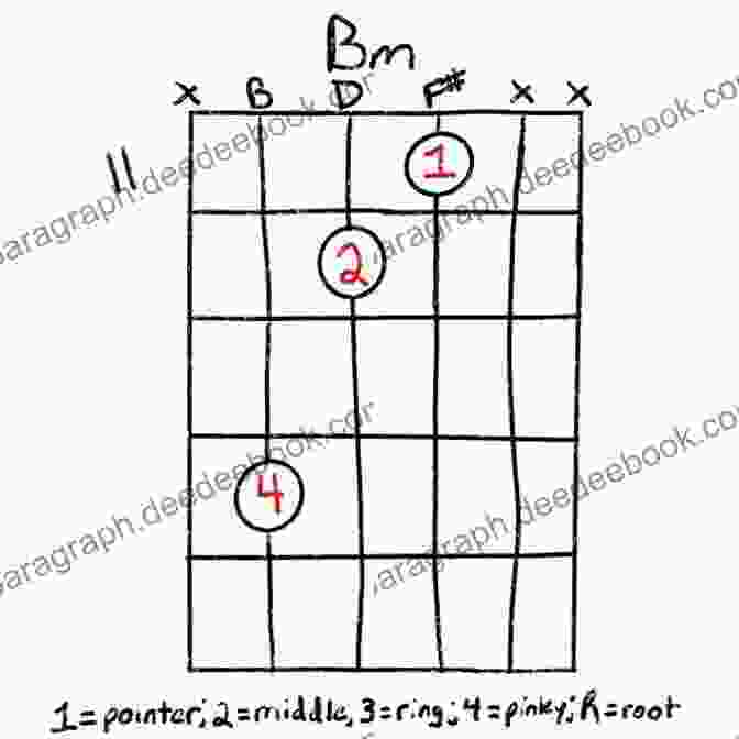 Bm Major Chord Fingering Left Handed Guitar Chord Master 1 Basic Chords: Step By Step Exercises To Learn To Play Basic Guitar Chords Patterns Progressions