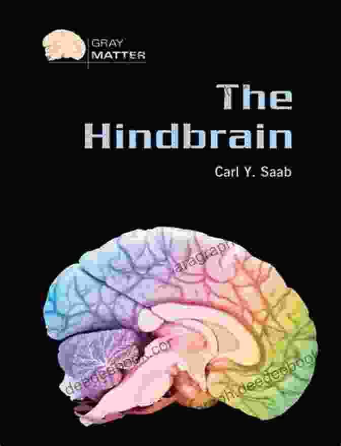 Carl Saab, The Visionary Neuroscientist Who Illuminated The Mysteries Of The Hindbrain Gray Matter The Hindbrain (Gray Matter) Carl Y Saab