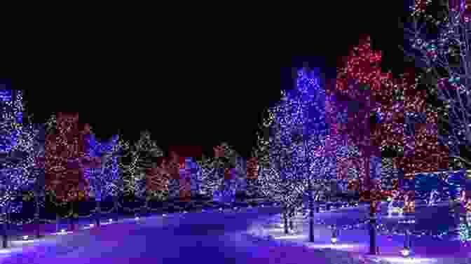 Christmas Lights Twinkling In The Snowy Streets Of Christmas Creek Deck The Hearts (A Christmas Creek Romance 1)