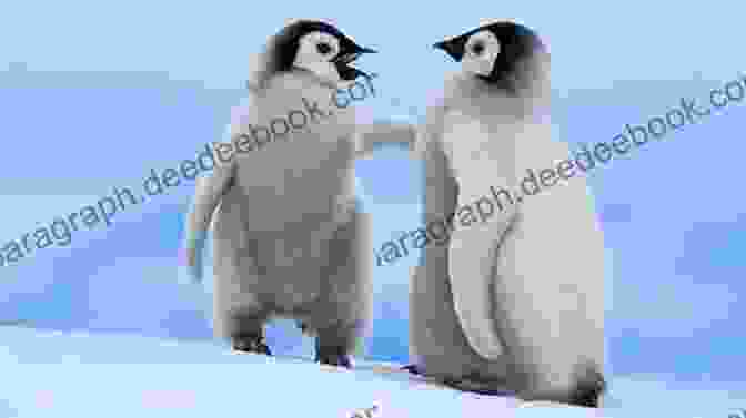 Pal And Sal Penguin, Two Young Penguins, Are Best Friends Who Love To Explore And Have Adventures Together. Pal And Sal (Penguin Young Readers Level 2)