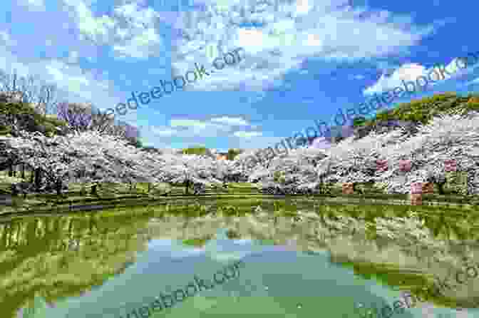 Panoramic View Of Osaka Skyline From Tsurumi Ryokuchi Park Anti Travel Guide Osaka: English Ver