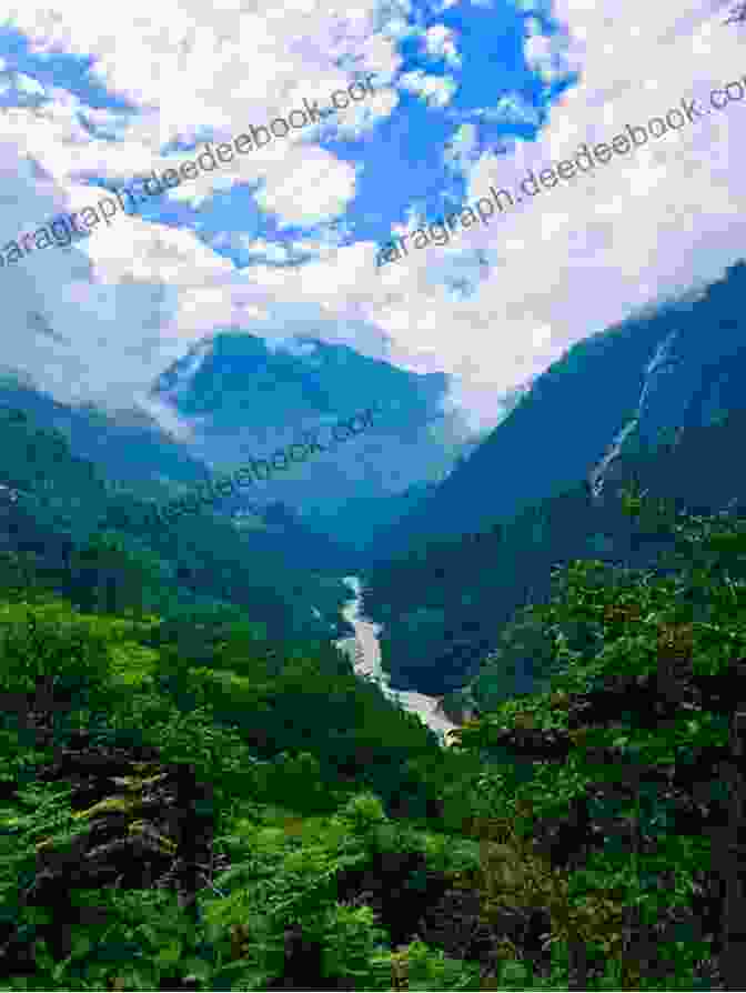 Panoramic View Of Sikkim's Majestic Mountains, Lush Valleys, And Sparkling Rivers WILD NATURE: Flora Fauna Of Sikkim India