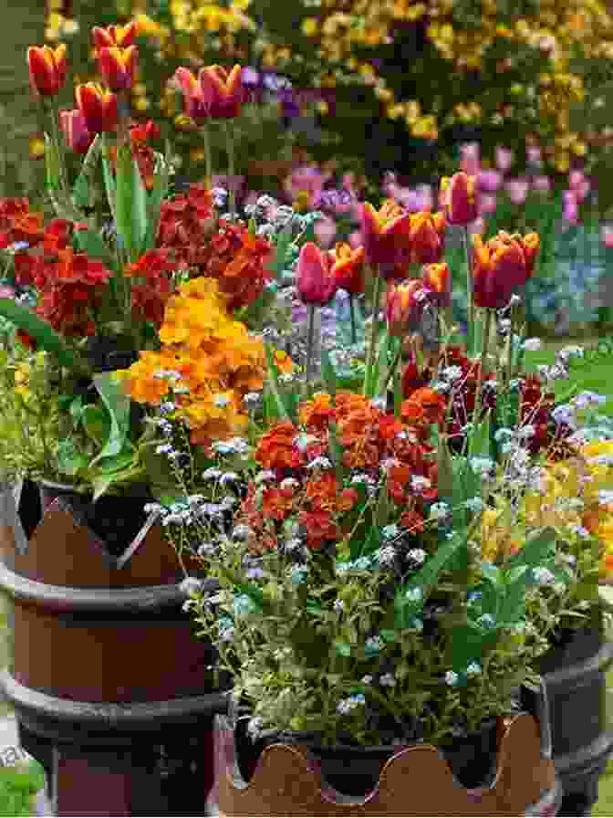 Tulips Blooming Amidst Chimneys In An Urban Landscape Tulips And Chimneys E E Cummings