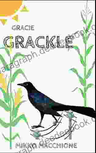 Gracie Grackle (No Such Thing As A Regular Bird 8)