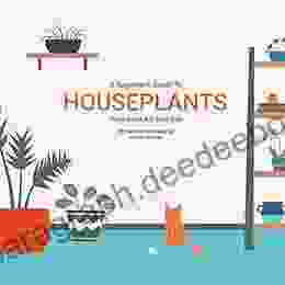 Houseplants (That Won T Kill Your Cat)