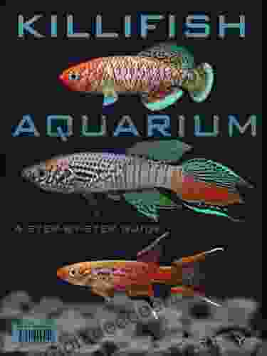 Killifish Aquarium A Step By Step Guide