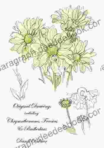 Original Drawings Including Chrysanthemums Freesias And Rudbeckias (Sketchbook Art)