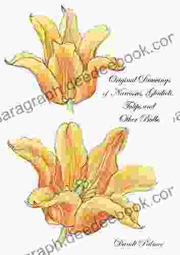 Original Drawings Of Narcissus Gladioli Tulips And Other Bulbs (Sketchbook Art)