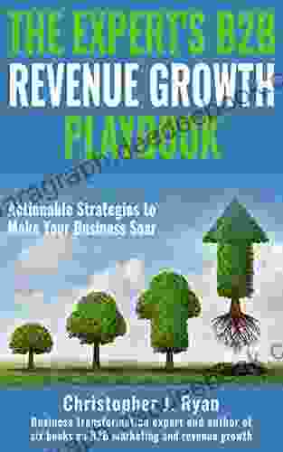 The Expert S B2B Revenue Growth Playbook: Actionable Strategies To Make Your Business Soar