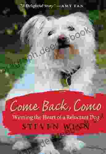 Come Back Como: Winning The Heart Of A Reluctant Dog